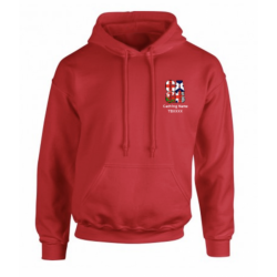 Personalised Adult Hoodie